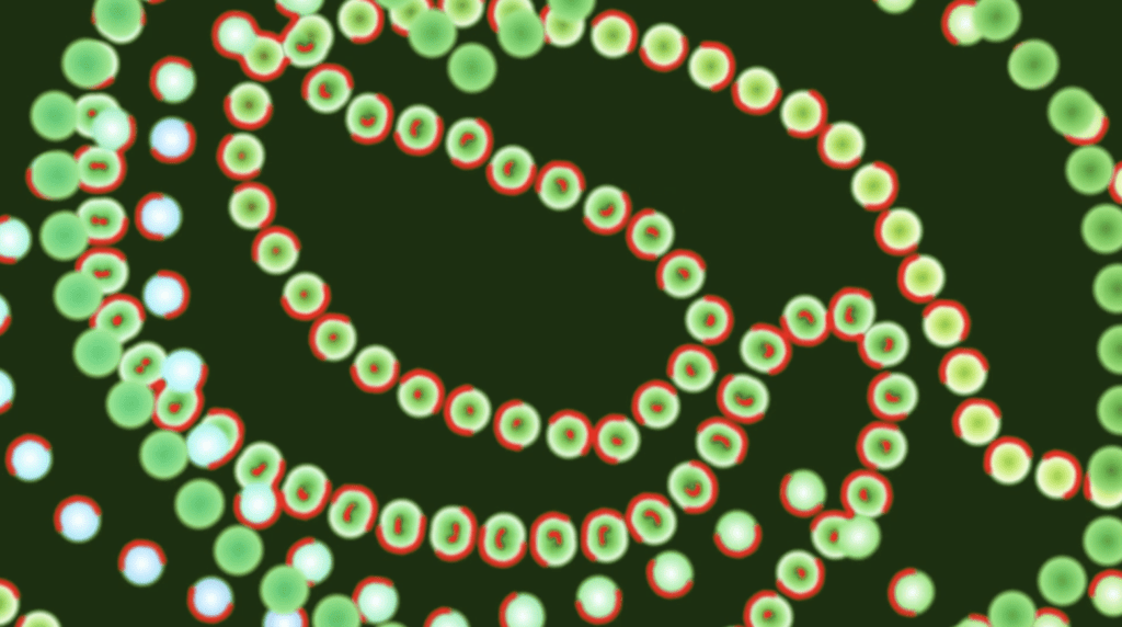 Screenshot from an animation showing abstracted sibhas or prayer beads in green, blue, and red against a dark green background.